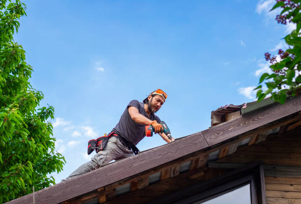 Asphalt Shingles Roofing in Meadow Woods, FL