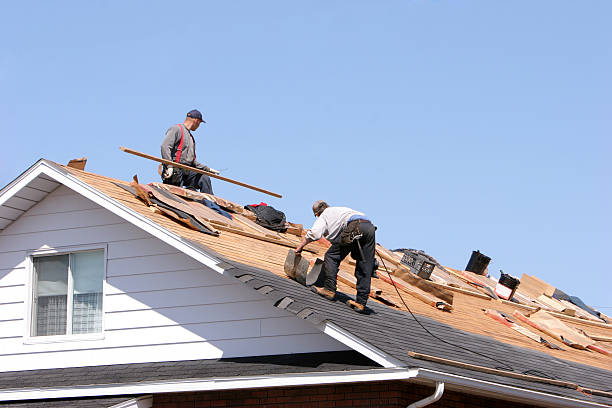 Trusted Meadow Woods, FL Roofing and installation Experts